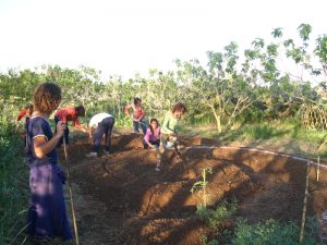 agric giovani_8.jpg